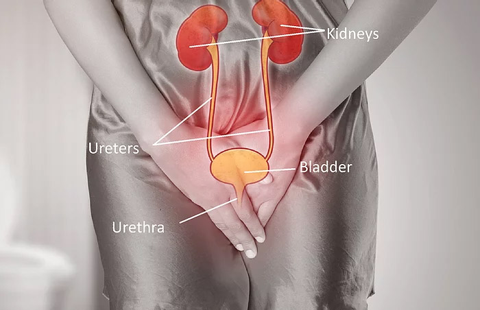 Urinary Tract Infection (UTI) Treatment Appointment Online